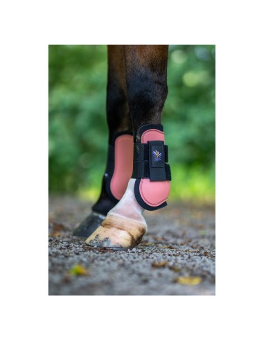 BR Mini Horse peesbeschermers