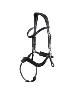 BR Bridle Mirfield -...