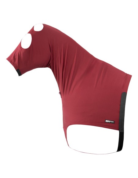 BR halsbeschermer Soft Motion met hoofddeel