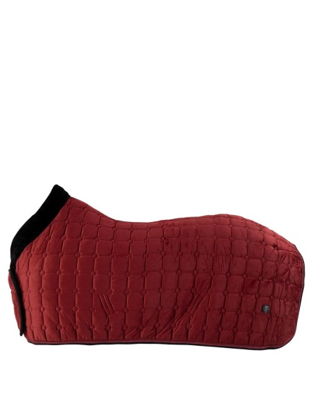 Couverture séchante BR CLX 100 g