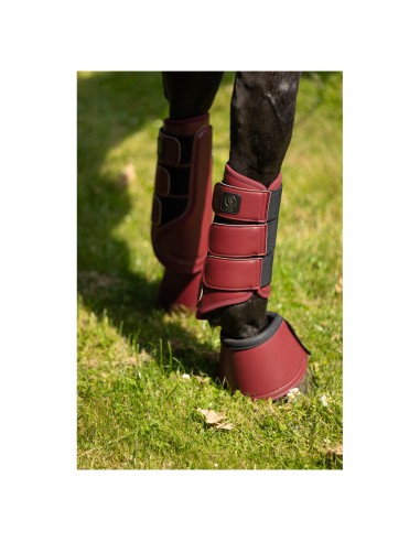 BR CLX Majestic beenbeschermers