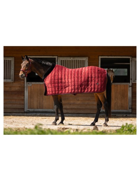 BR CLX Showdecke 100 g