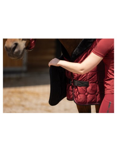 BR CLX Show Rug 100G
