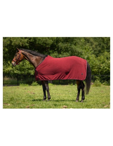 BR CLX Fleece Rug 240 gr