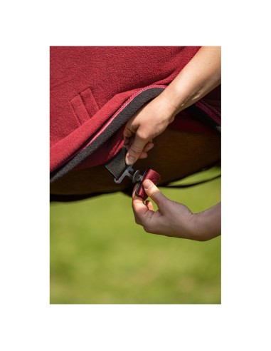 Couverture polaire BR CLX 240 gr