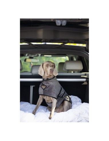 BR Bathrobe for Dogs