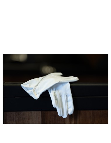 BR Riding Gloves Glowé