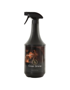 BR Coat Shine 1000 ml PU6 - -