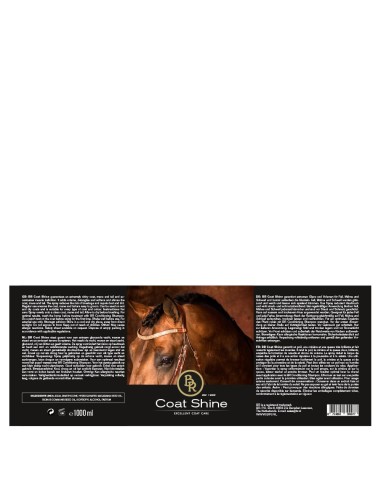 BR Coat Shine 1000 ml VE6