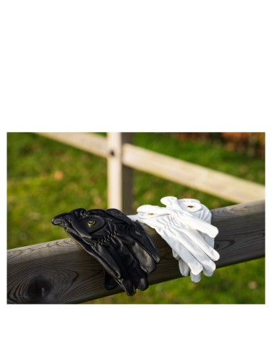 BR handschoenen All Weather Pro