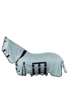 BR Fliegendecke mit festem... 2