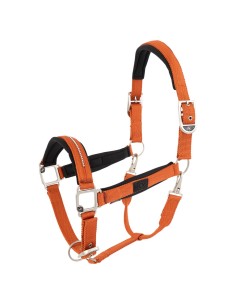 BR Halfter Kimberly 2