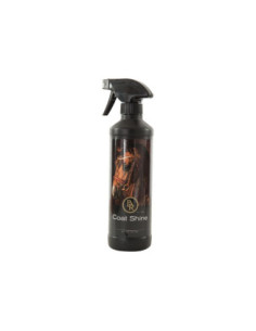 BR glansspray 500 ml VE6