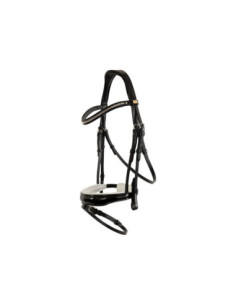 BR Bridle Hailsham