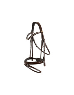 BR Bridle Shildon