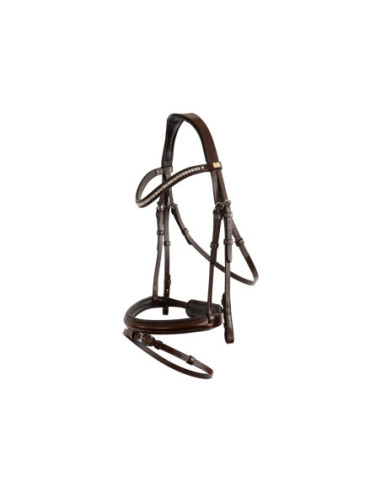 BR Bridle Shildon