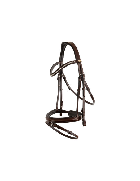 BR Bridle Shildon