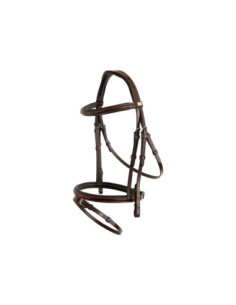 BR Bridle  Salcombe