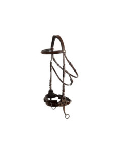 BR Bridle Thornbury