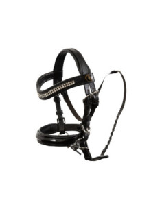 Bridon BR Hobby Horse