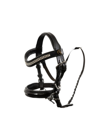 BR Hobbyhorse hoofdstel