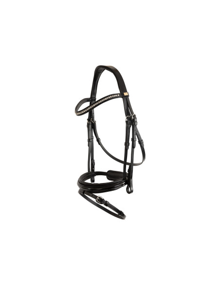 BR Bridle Hexham