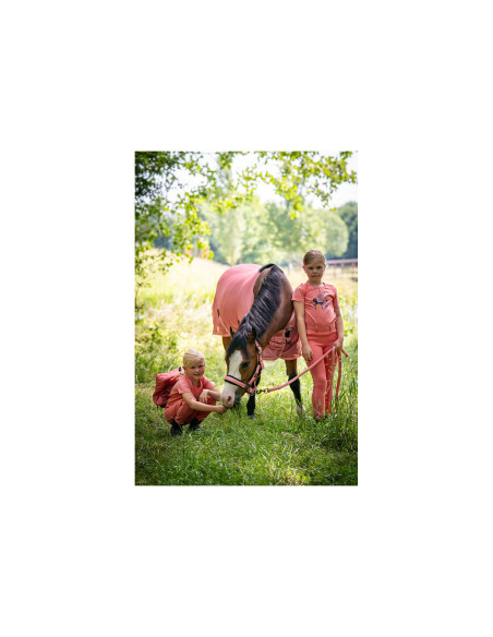 BR Mini Horse Fliegendecke