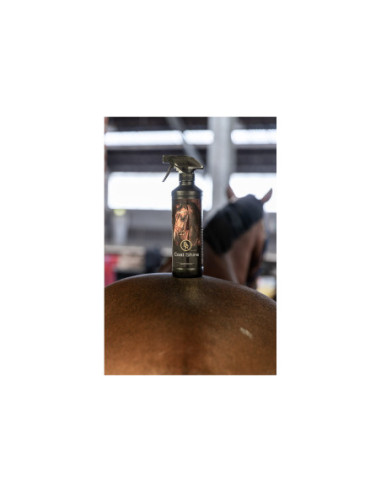BR Coat Shine 500 ml VE6