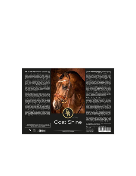 BR Coat Shine 500 ml VE6