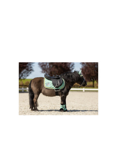 BR Mini Horse Ear Bonnet