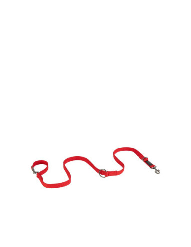BR Dog Lead