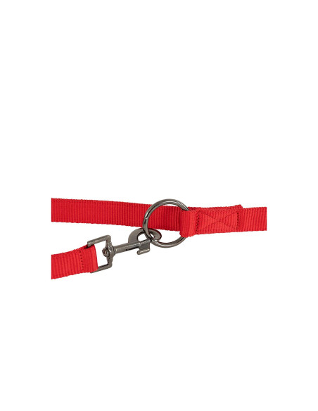 BR Dog Lead