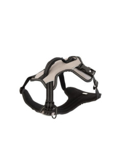 BR Hundegeschirr 2
