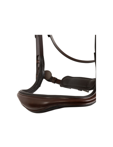 BR Bridle Horley