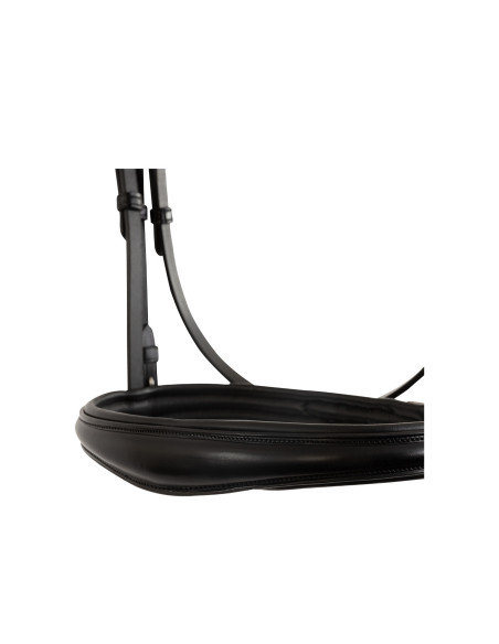 BR Bridle Southall