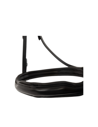 BR Bridle Stockport