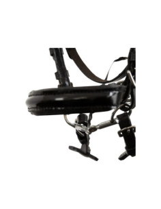 BR Hobbyhorse Bridle 2