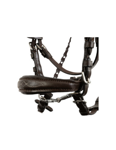 BR Hobbyhorse hoofdstel