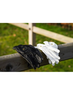 BR Handschuhe All Weather 2