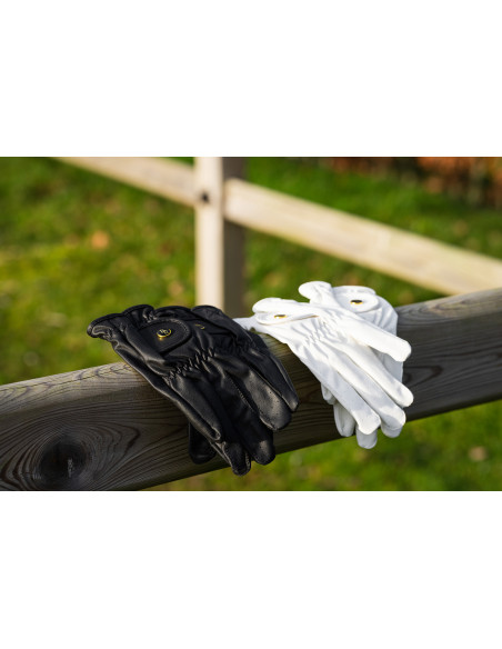 BR Gloves All Weather Pro
