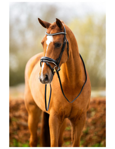 BR Bridle Hailsham