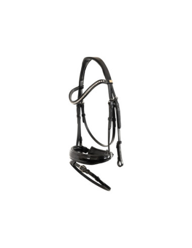 BR Bridle Hailsham