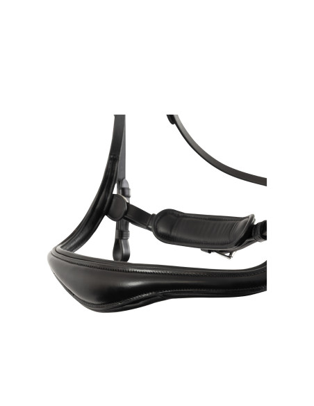 BR Bridle Horley
