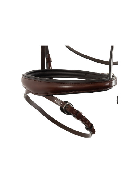 BR Bridle Southall