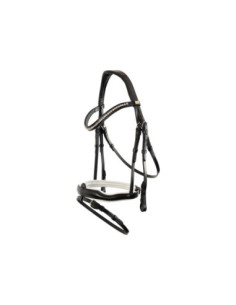 BR Bridle Stockport
