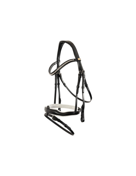 BR Bridle Stockport
