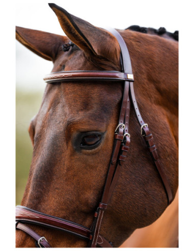 BR Bridle Shepshed