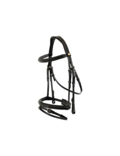 BR Bridle Sunderland