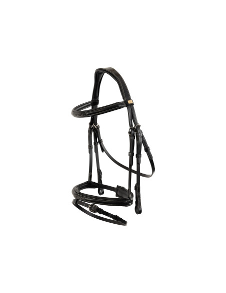 BR Bridle Sunderland