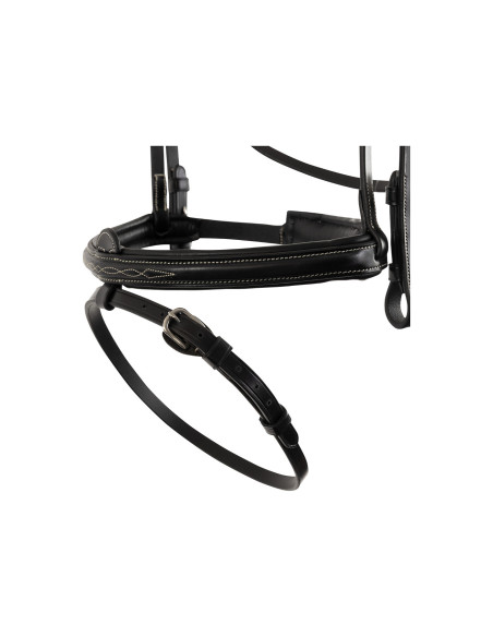 BR Bridle Sunderland